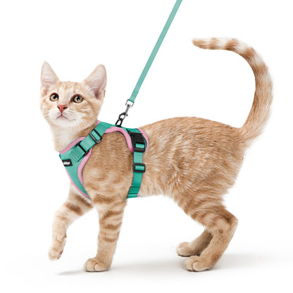 Adjustable Cat Harness & Lead Set for Walking
