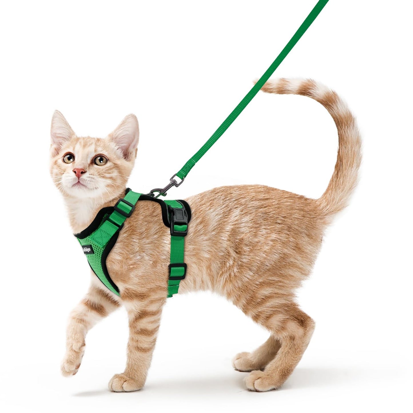 Adjustable Cat Harness & Lead Set for Walking