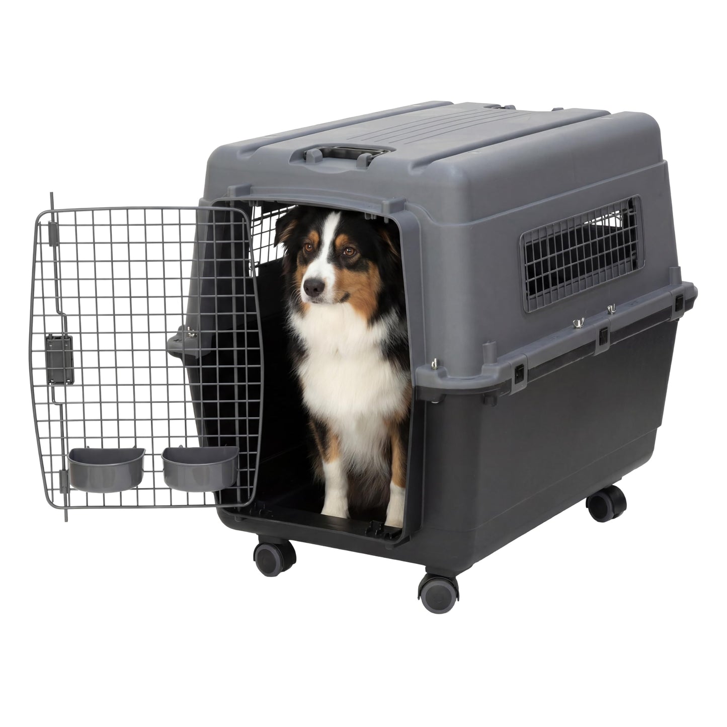 Airline-Approved Hard Shell Pet Travel Kennel