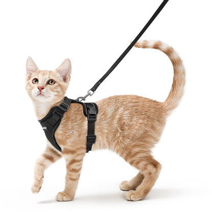 Adjustable Cat Harness & Lead Set for Walking