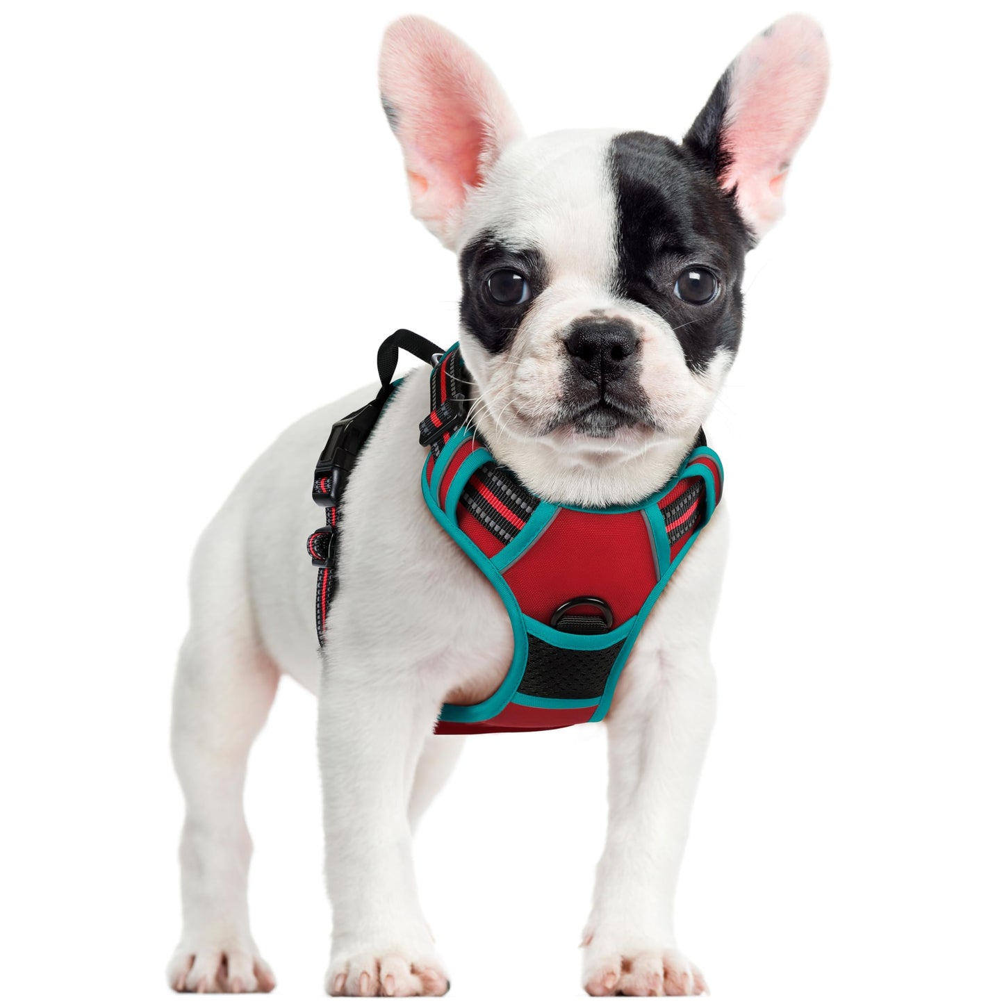 No-Pull Reflective Dog Harness with Control Handle