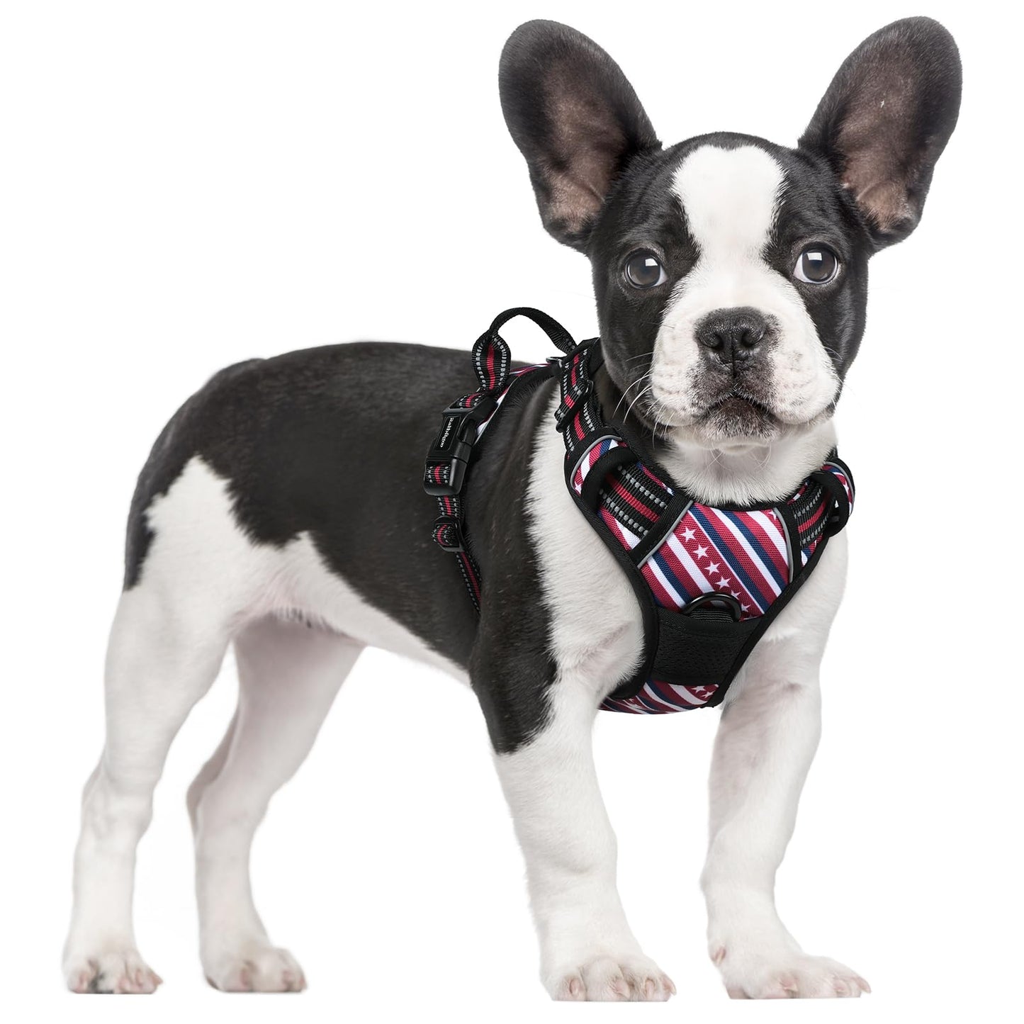 No-Pull Reflective Dog Harness with Control Handle