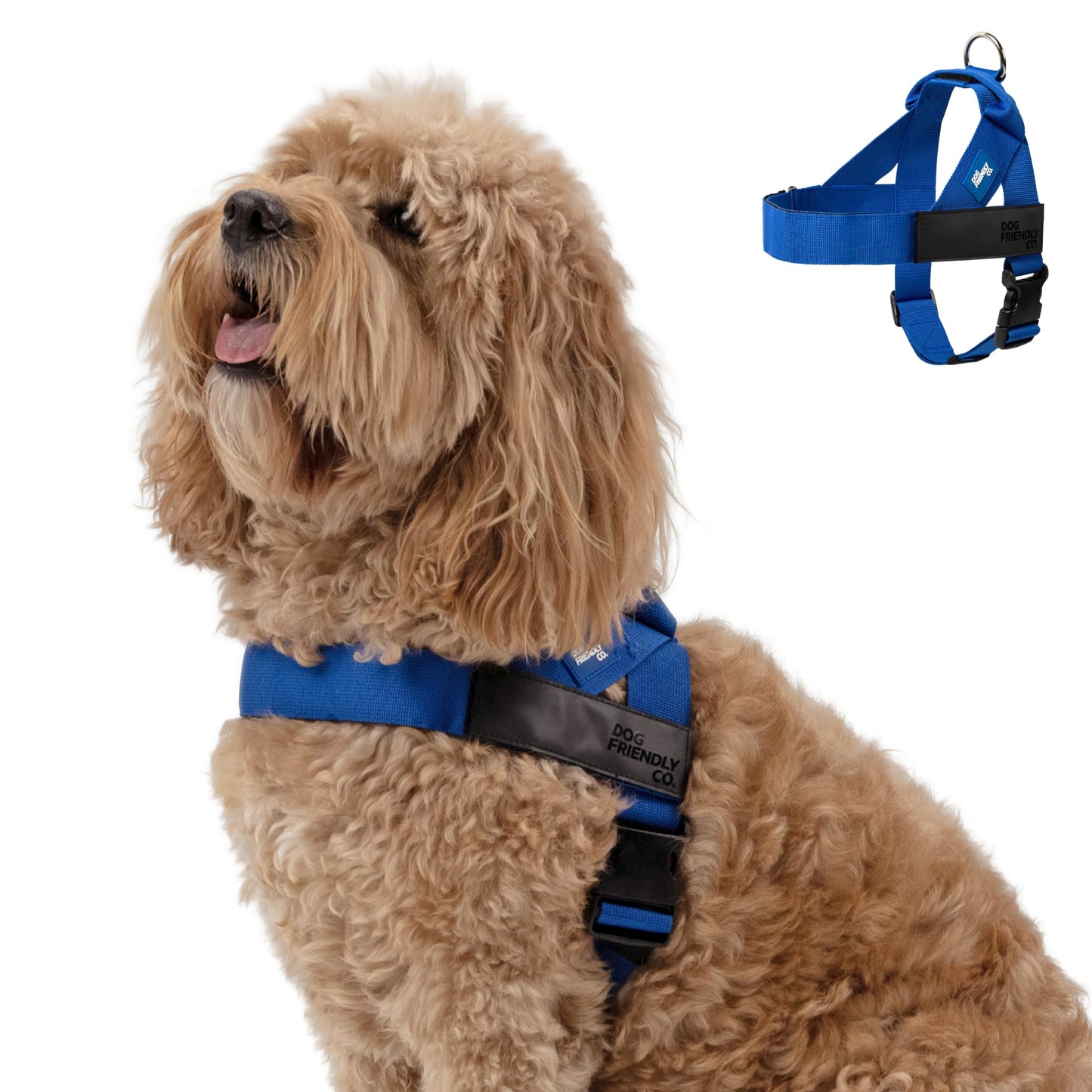 Adjustable Everyday Dog Harness for Walking