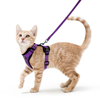 Adjustable Cat Harness & Lead Set for Walking
