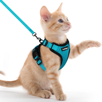 Adjustable Cat Harness & Lead Set for Walking