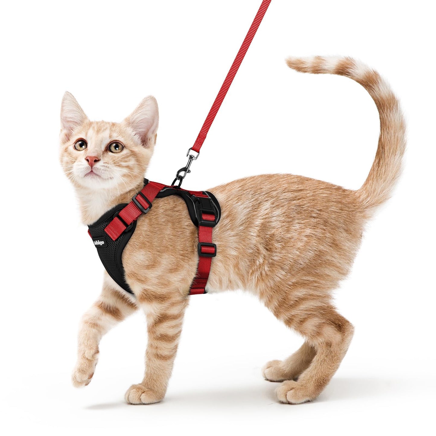 Adjustable Cat Harness & Lead Set for Walking