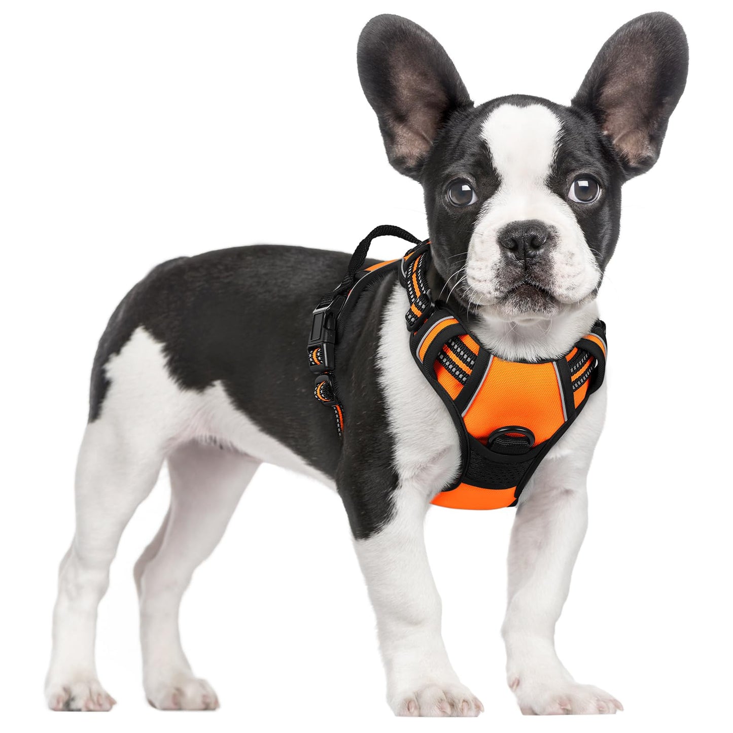 No-Pull Reflective Dog Harness with Control Handle