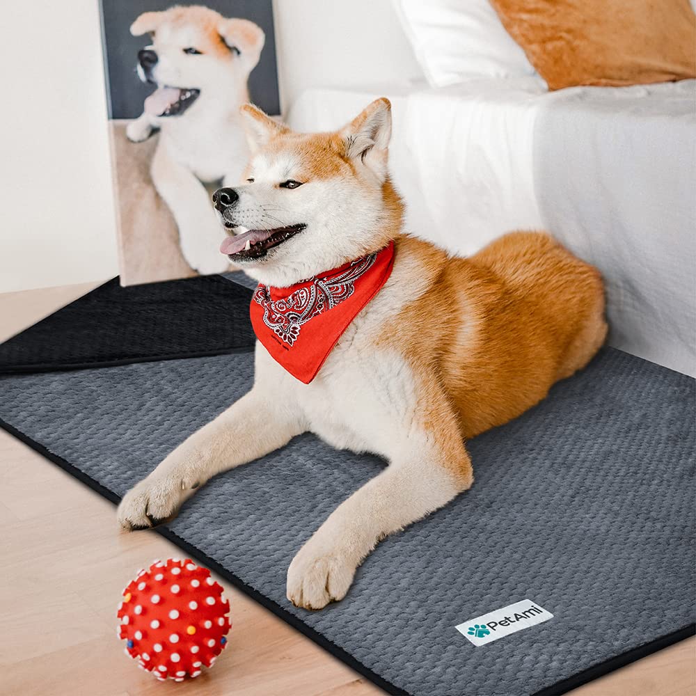 Leakproof Waterproof Pet Blanket for Furniture Cover