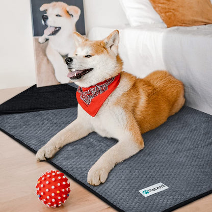 Leakproof Waterproof Pet Blanket for Furniture Cover