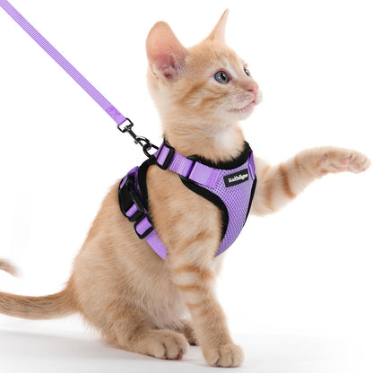 Adjustable Cat Harness & Lead Set for Walking