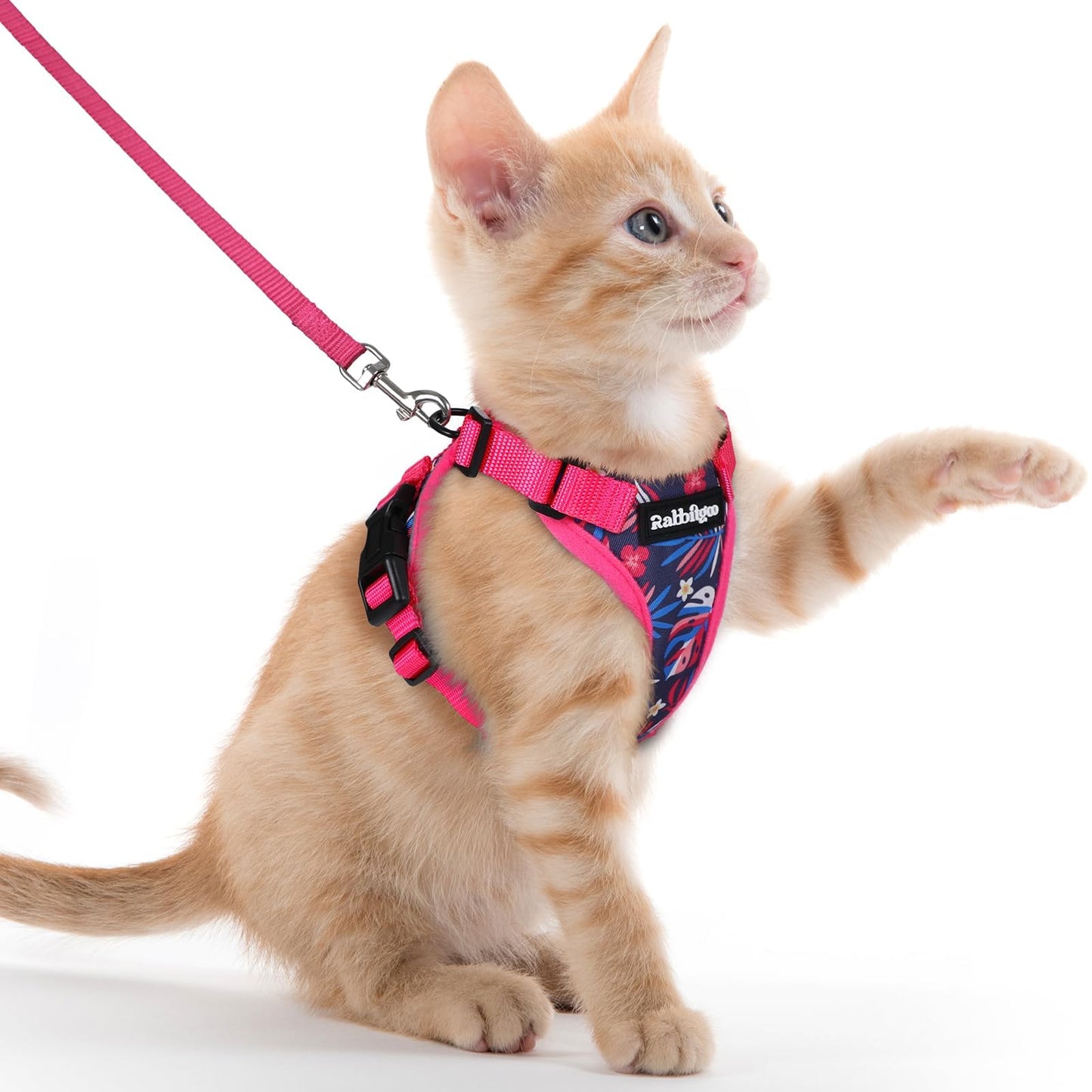 Adjustable Cat Harness & Lead Set for Walking