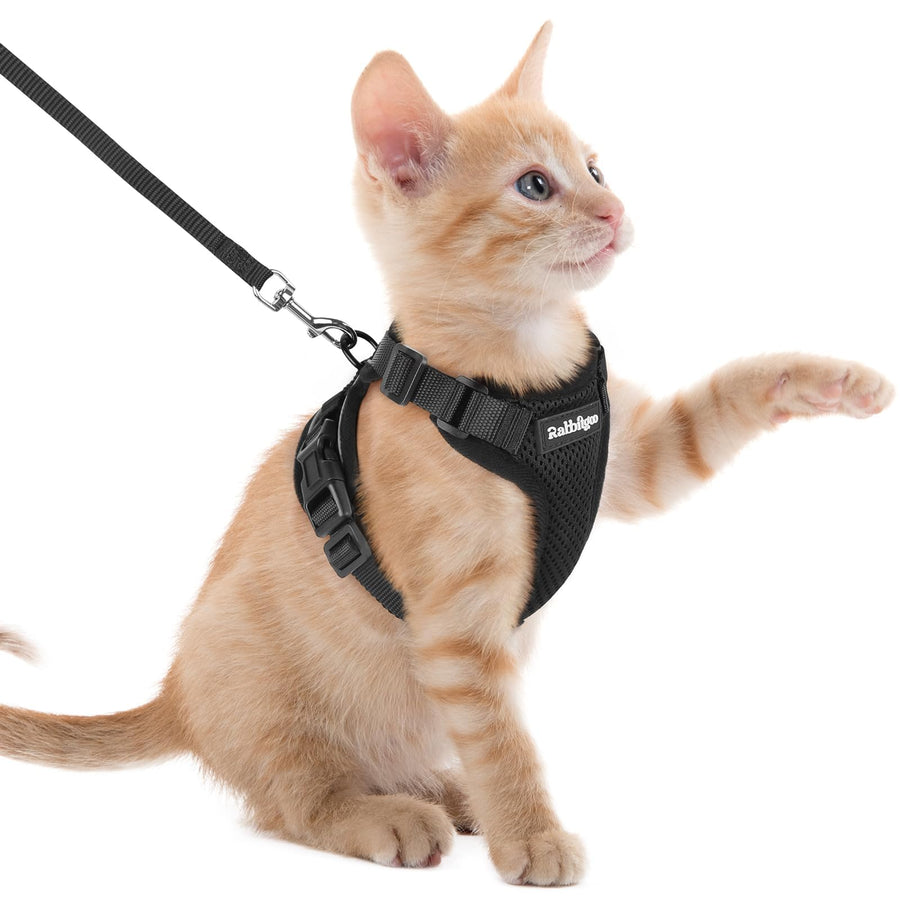 Adjustable Cat Harness & Lead Set for Walking