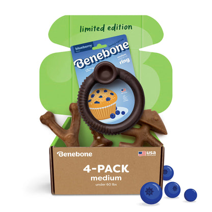 2-Pack Durable Dog Chew Toy Set
