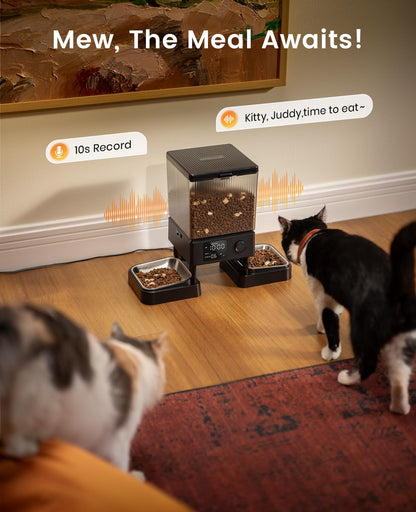 5L Automatic Pet Feeder with Dual Bowls for Pets