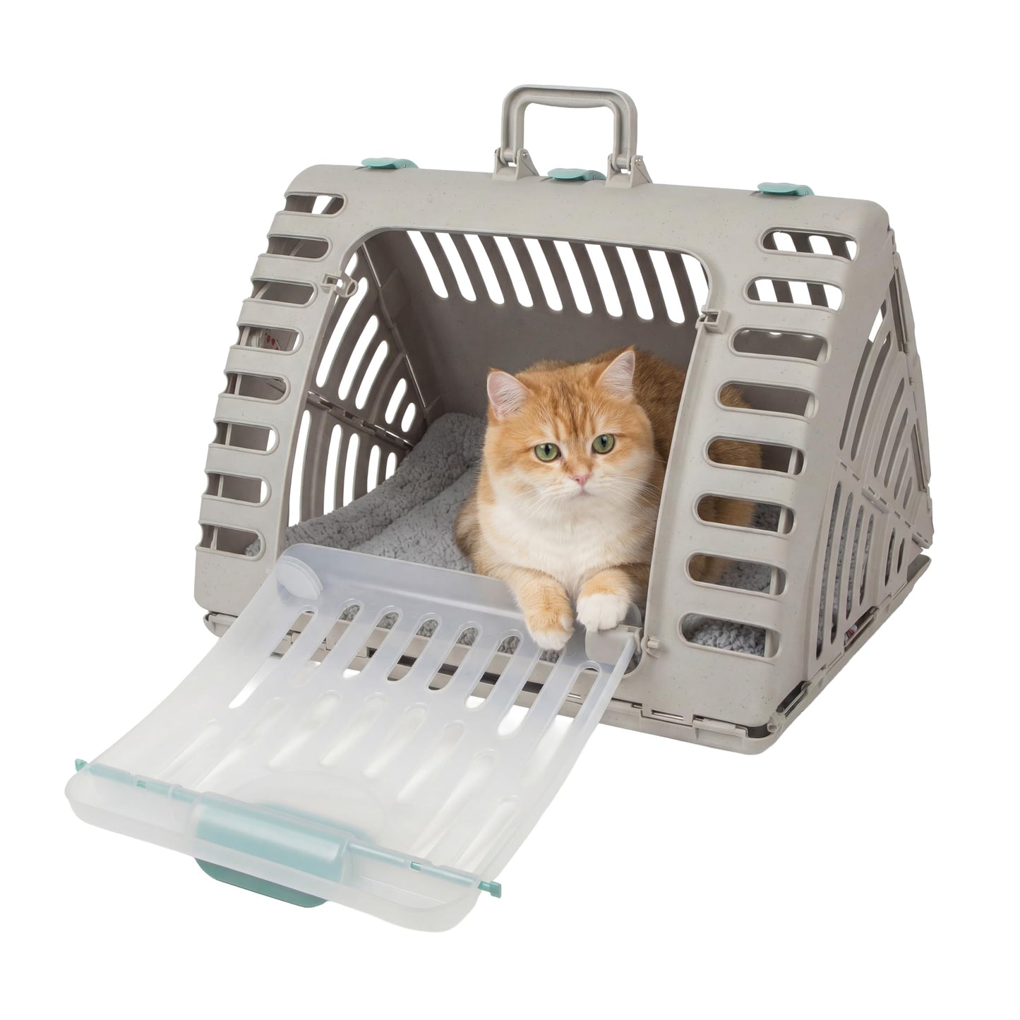 Foldable Hard Shell Cat Travel Carrier