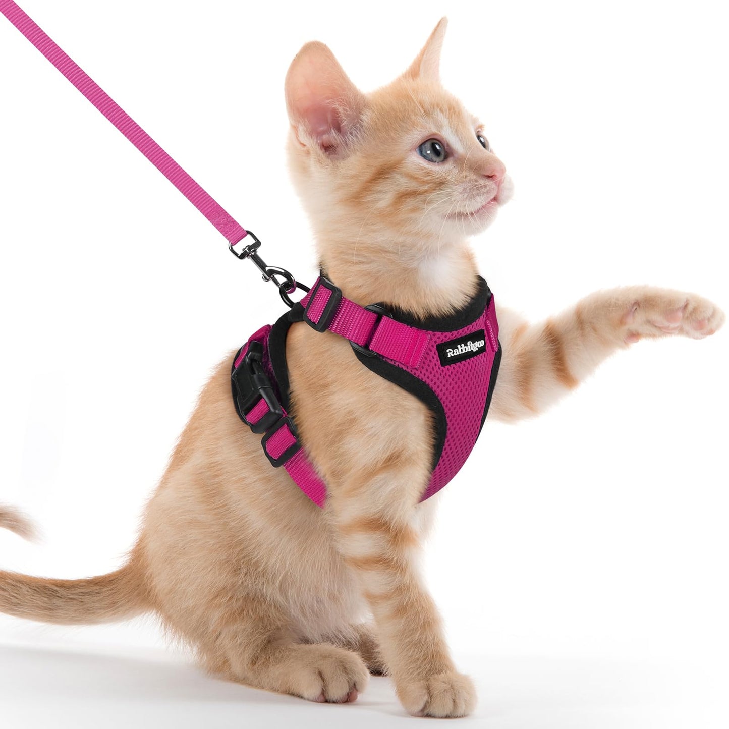 Adjustable Cat Harness & Lead Set for Walking
