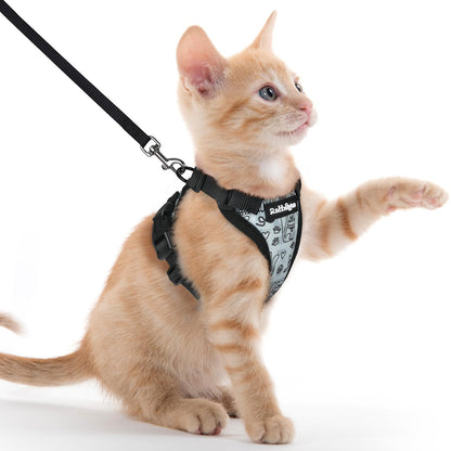 Adjustable Cat Harness & Lead Set for Walking