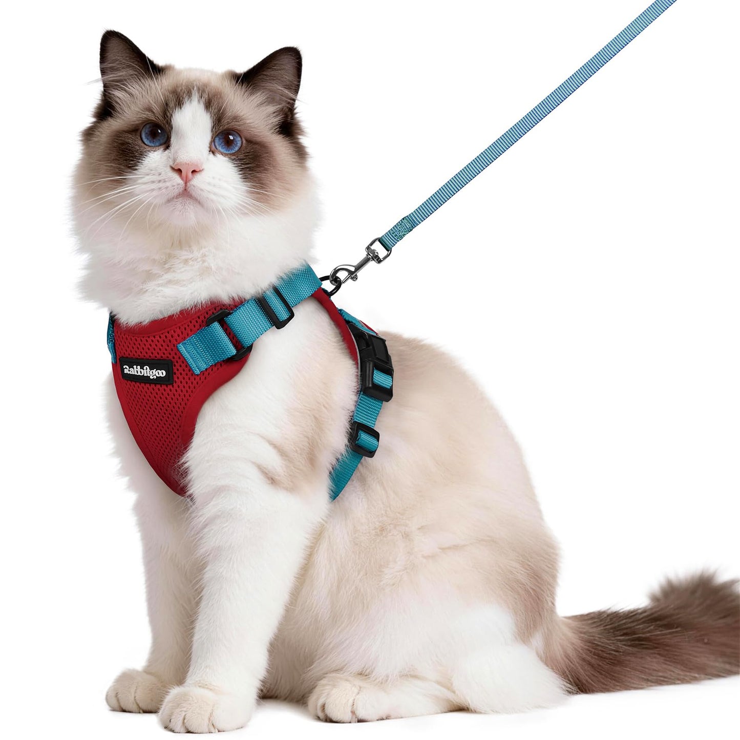 Adjustable Cat Harness & Lead Set for Walking