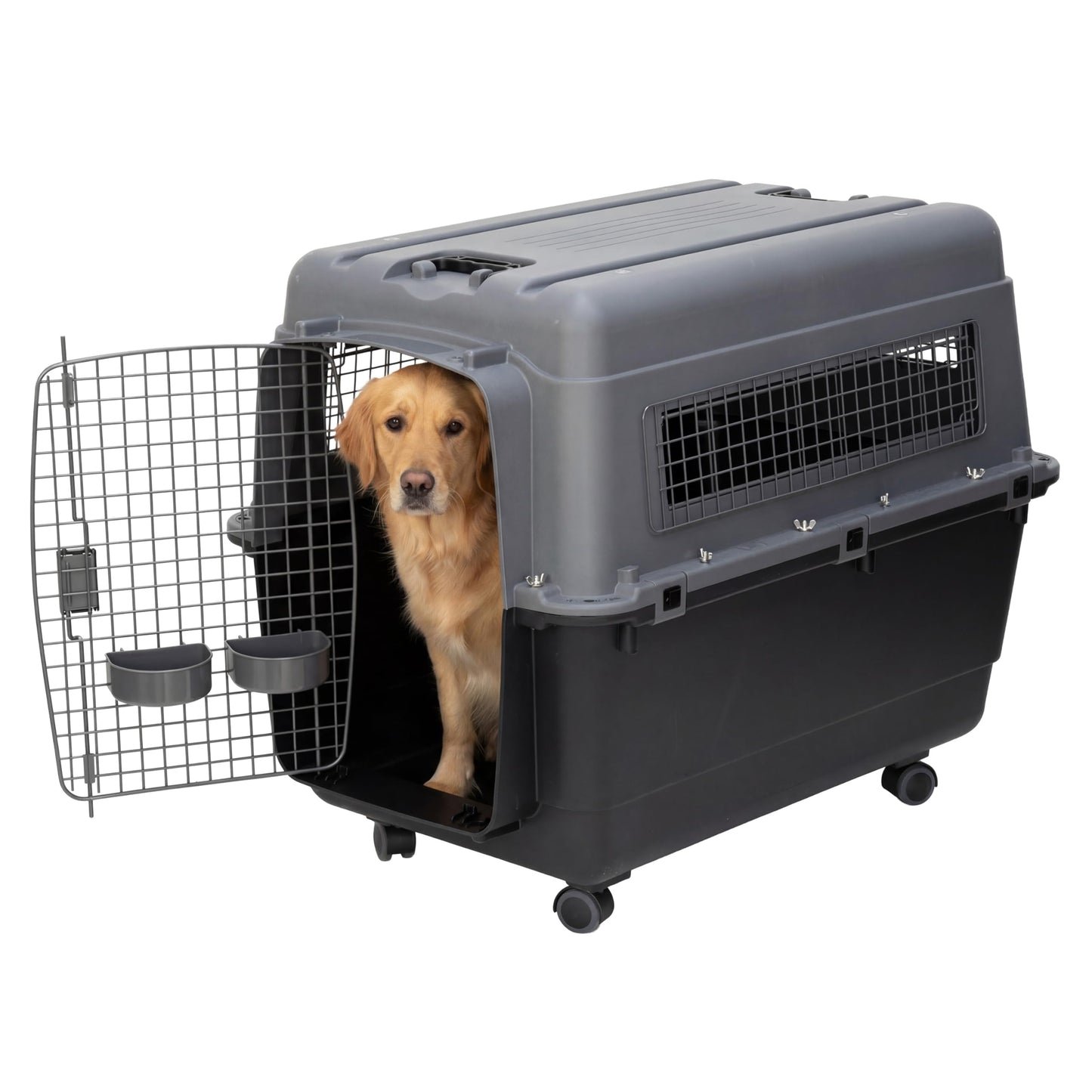 Airline-Approved Hard Shell Pet Travel Kennel