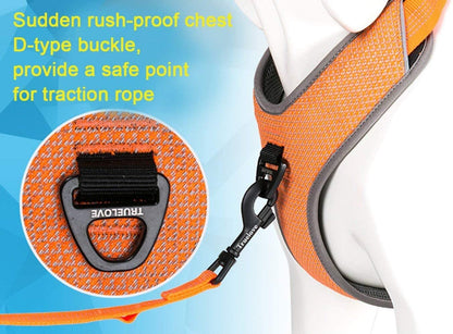 Reflective Padded Dog Harness for Walking & Hiking