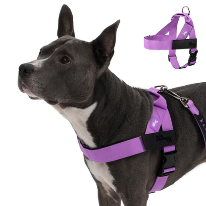 Adjustable Everyday Dog Harness for Walking