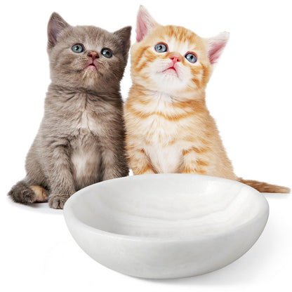 Dog Bowls, Non-Slip Dog Food Water Bowl
