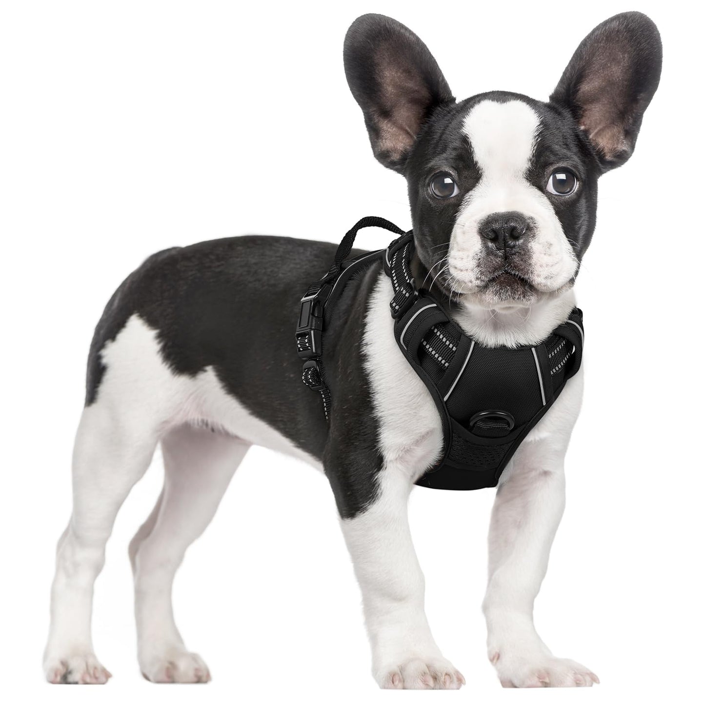 No-Pull Reflective Dog Harness with Control Handle