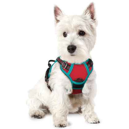 No-Pull Reflective Dog Harness with Control Handle