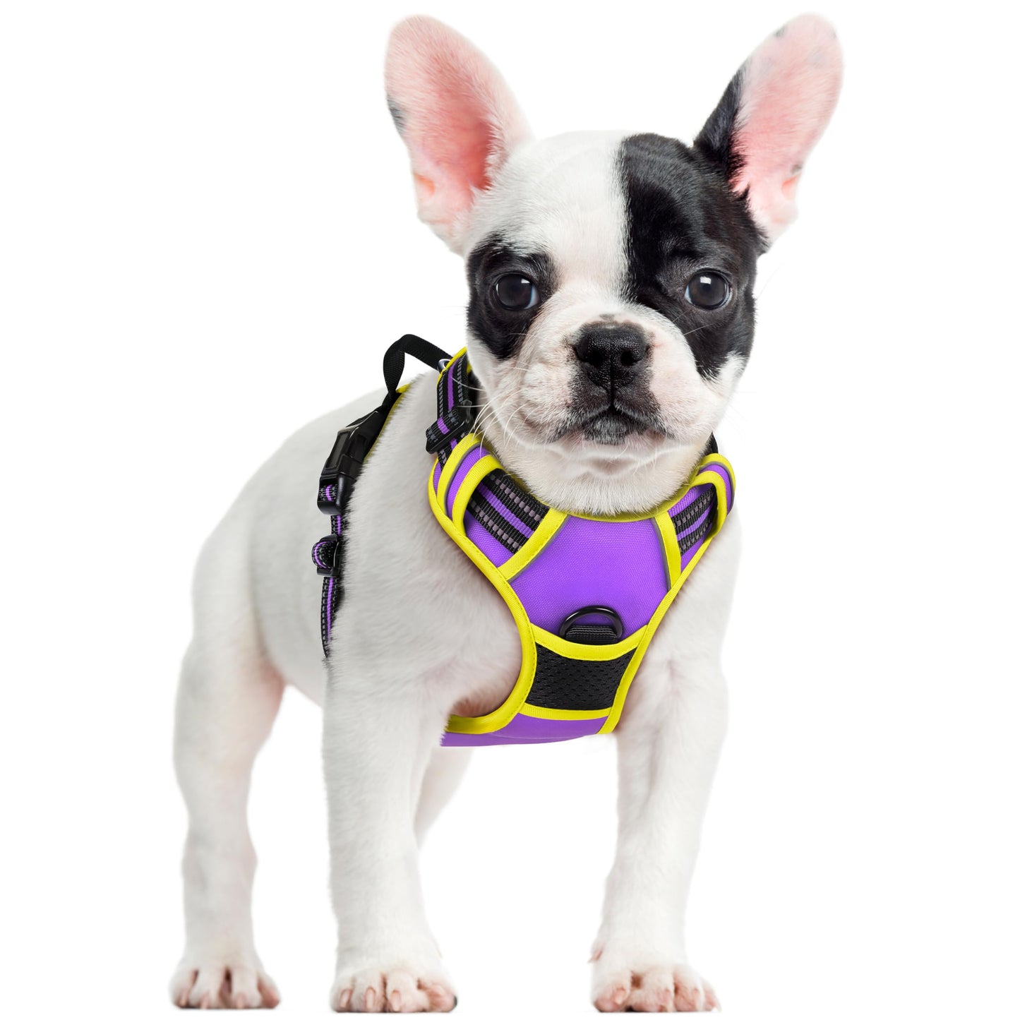 No-Pull Reflective Dog Harness with Control Handle