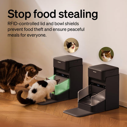 RFID Automatic Cat Feeder with Collar Tag Access