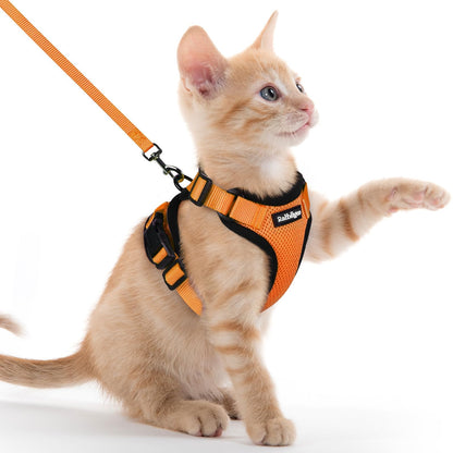 Adjustable Cat Harness & Lead Set for Walking