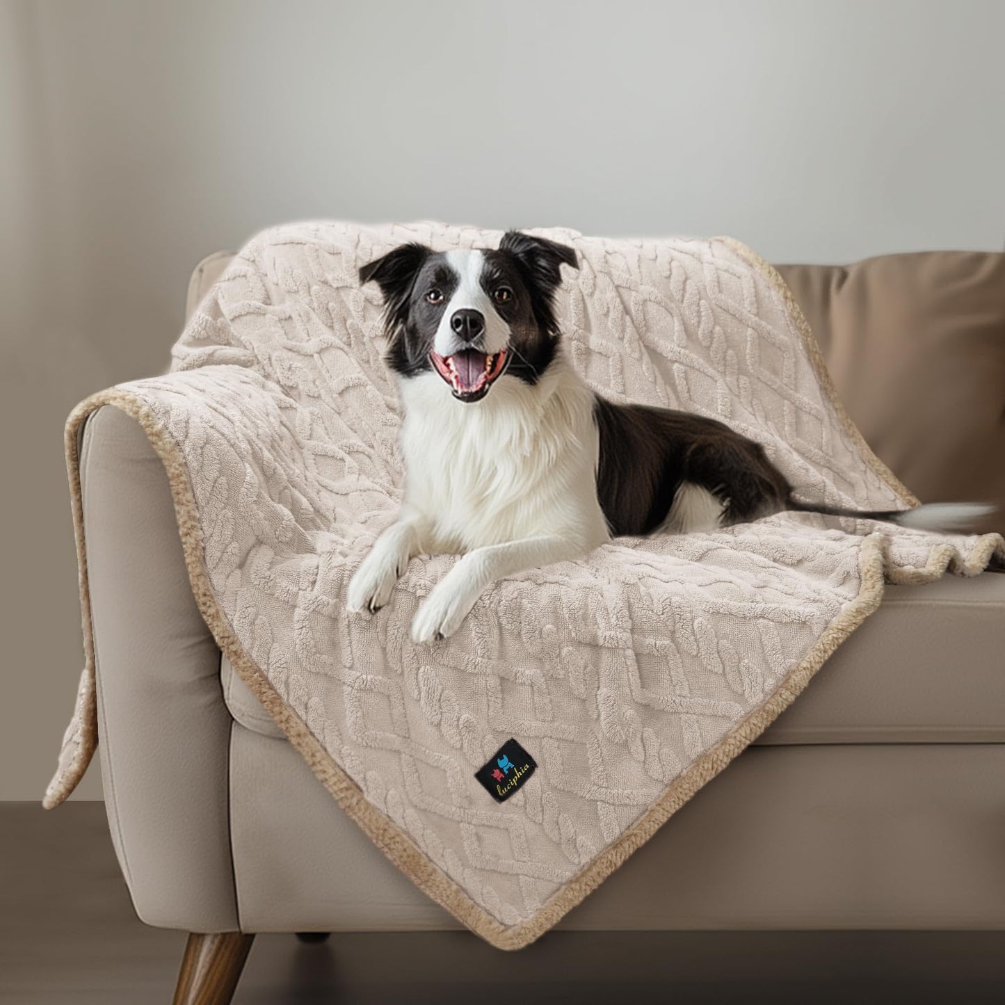 Waterproof Sherpa Pet Blanket for Furniture Protection