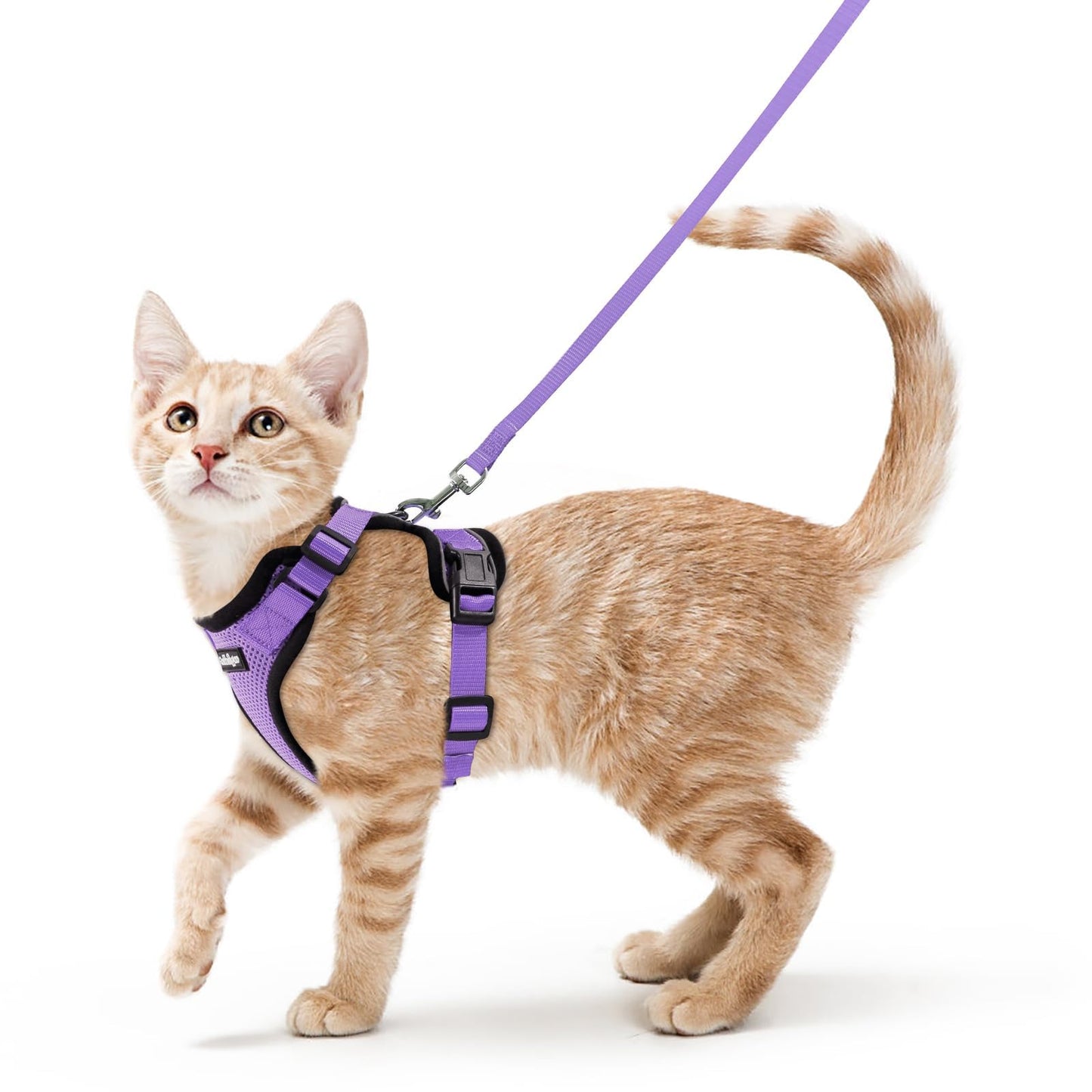 Adjustable Cat Harness & Lead Set for Walking