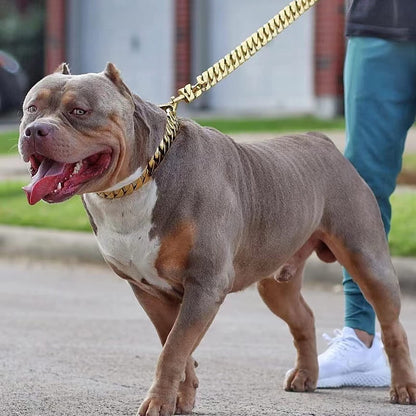 Heavy Duty Metal Dog Chain Leash with Leather Handle