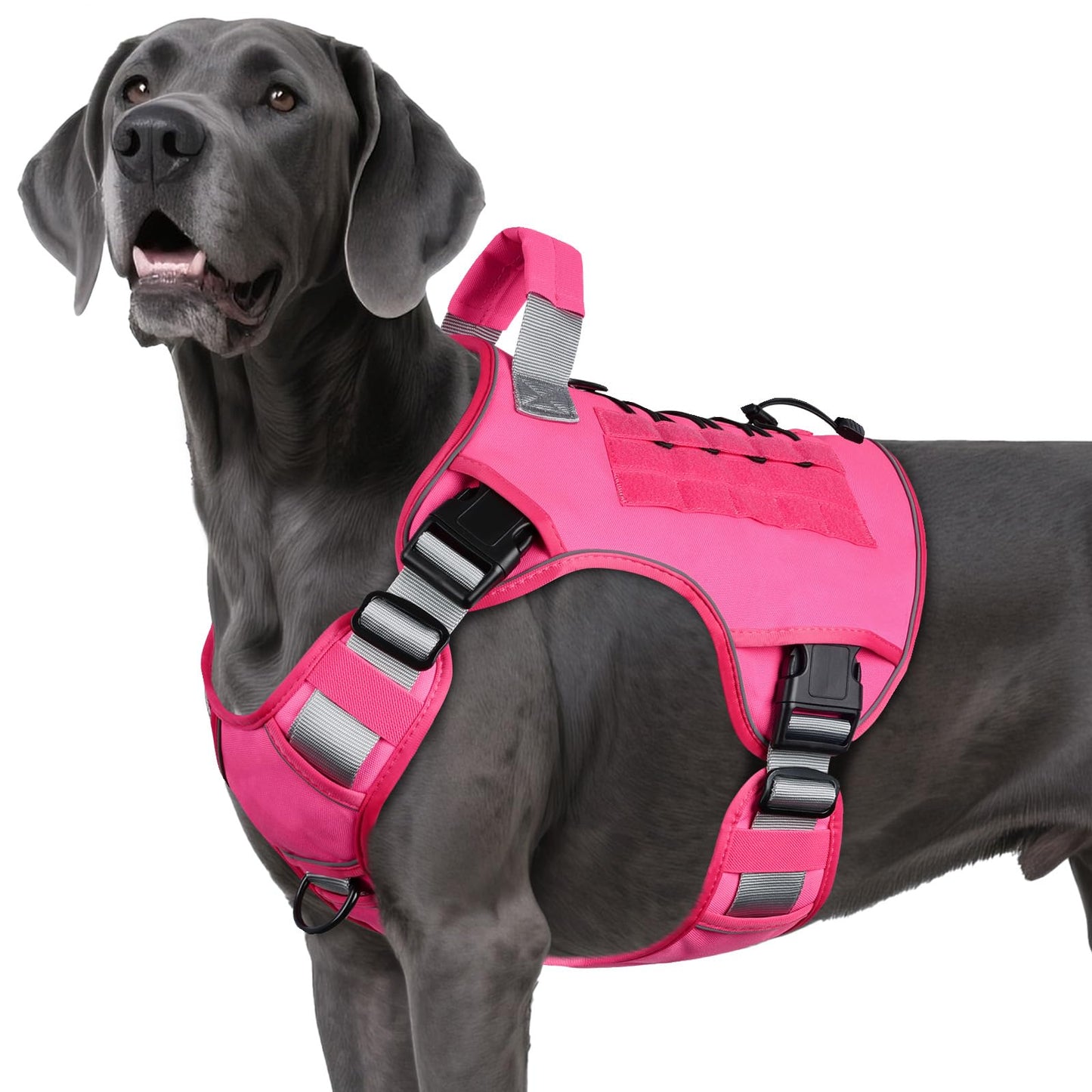 Heavy Duty Tactical Dog Harness with Handle