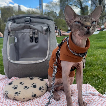 Adjustable Escape-Proof Cat Harness & Leash Set
