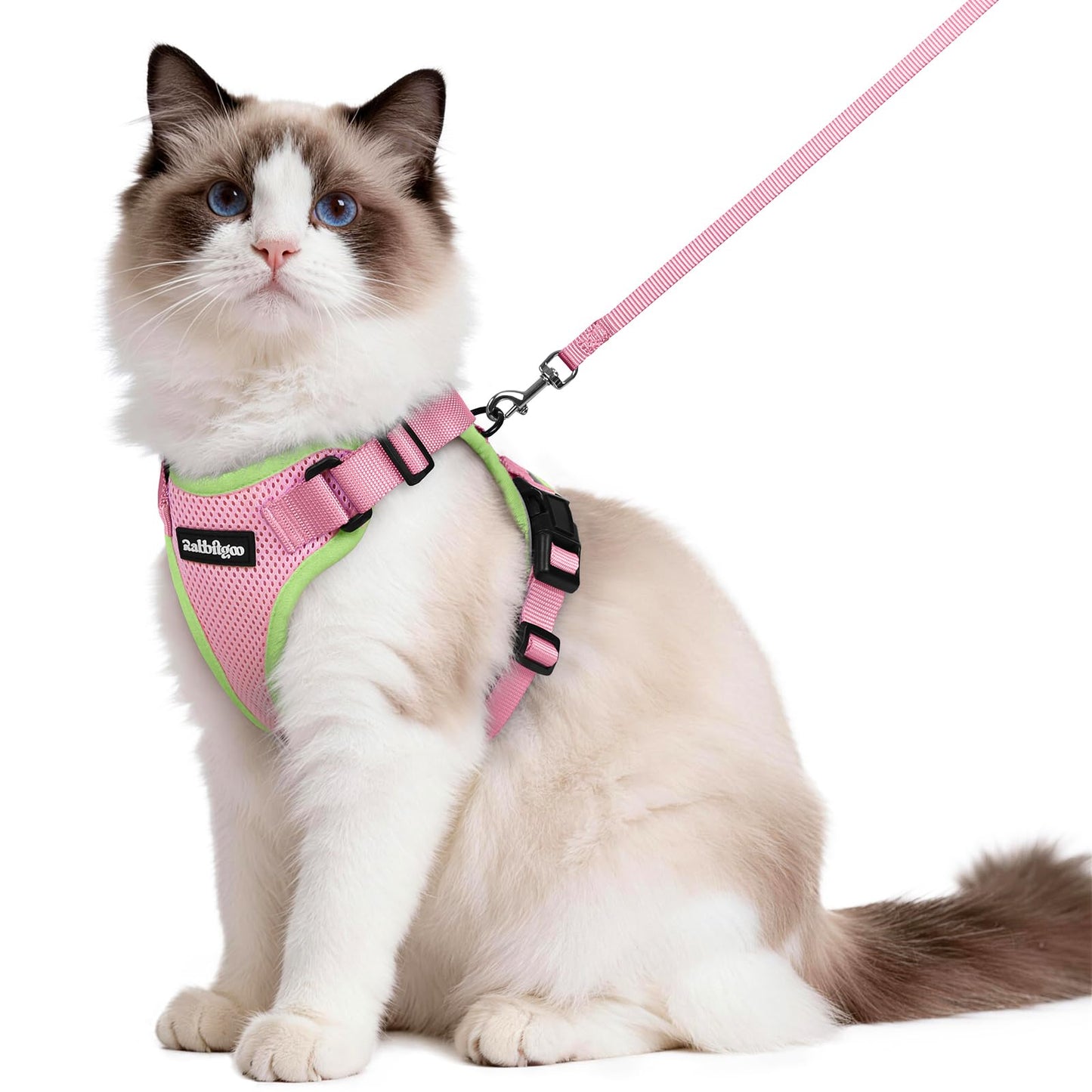 Adjustable Cat Harness & Lead Set for Walking