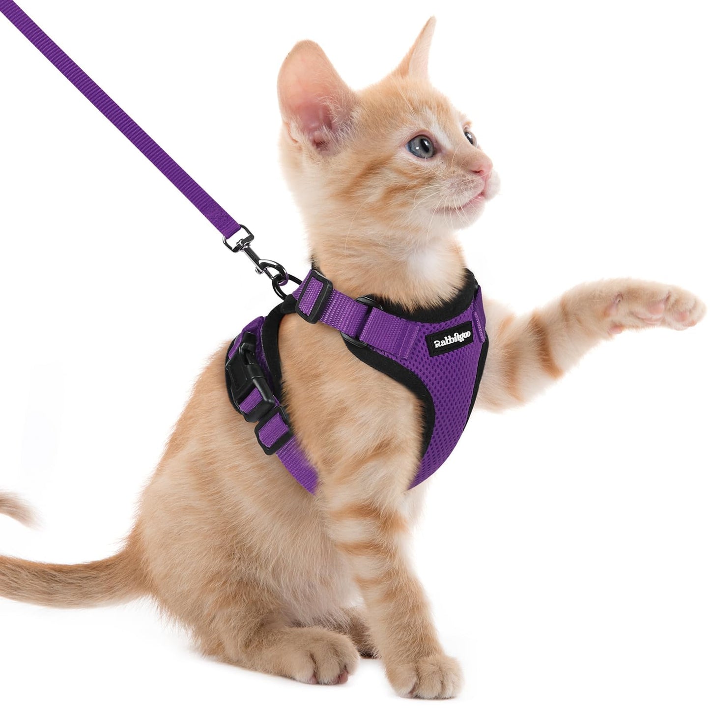 Adjustable Cat Harness & Lead Set for Walking