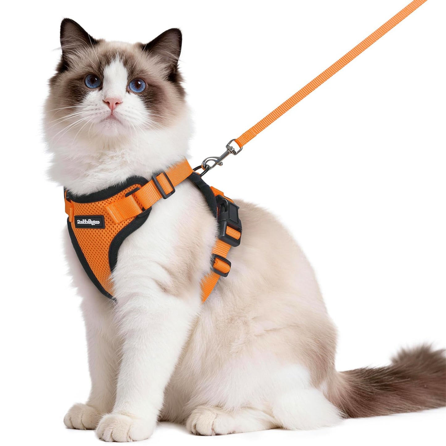 Adjustable Cat Harness & Lead Set for Walking