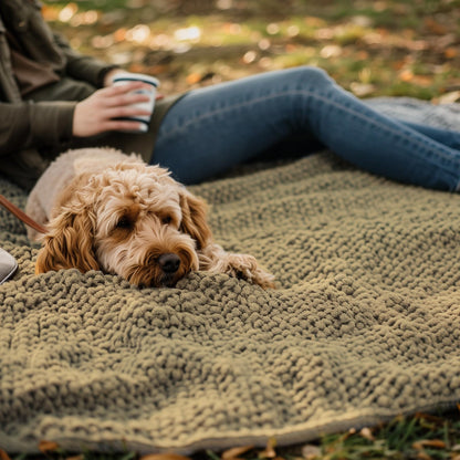 Absorbent Pet Blanket for Furniture and Bedding