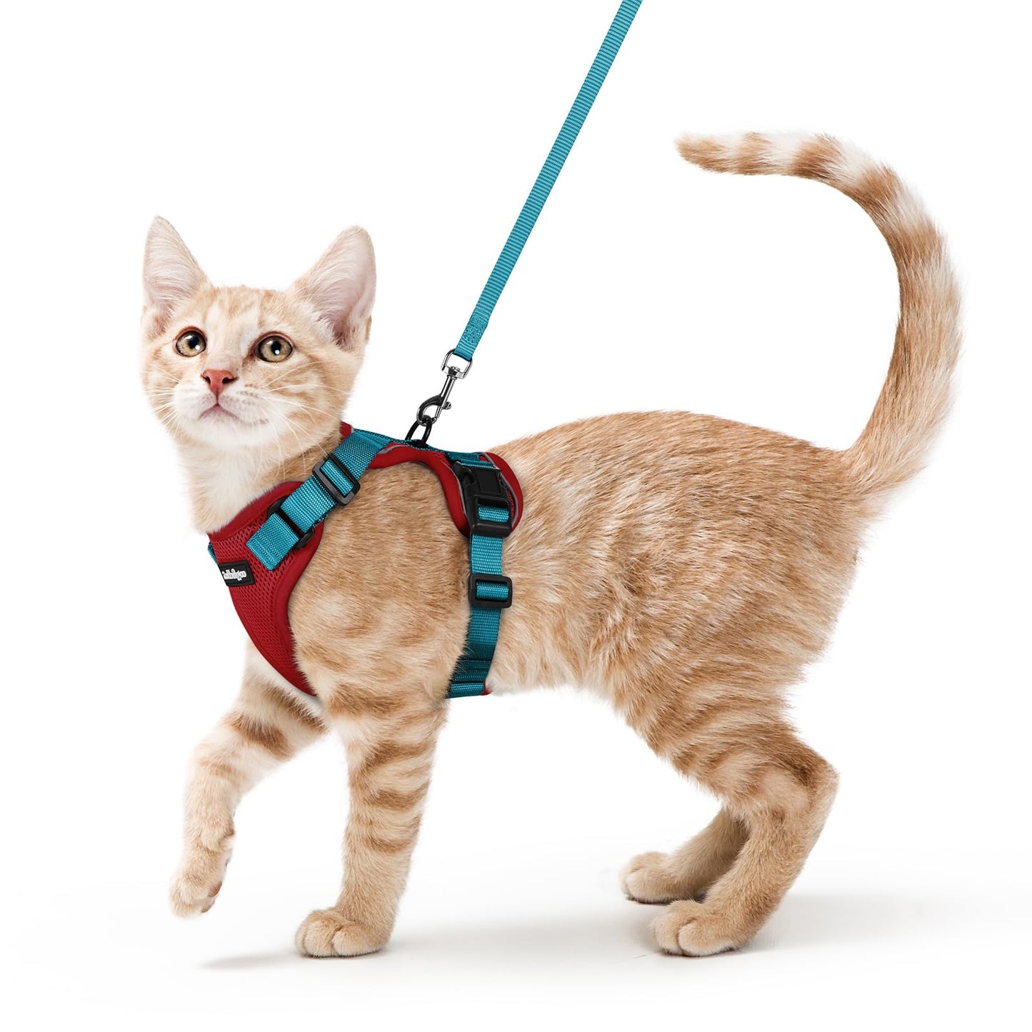 Adjustable Cat Harness & Lead Set for Walking