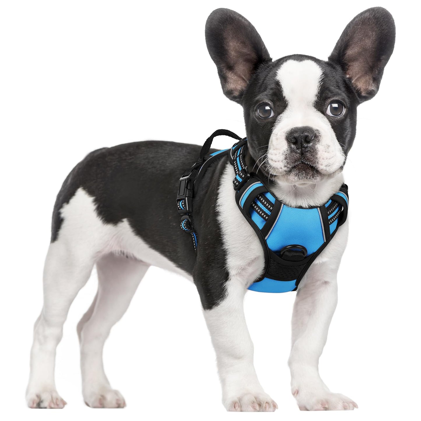 No-Pull Reflective Dog Harness with Control Handle