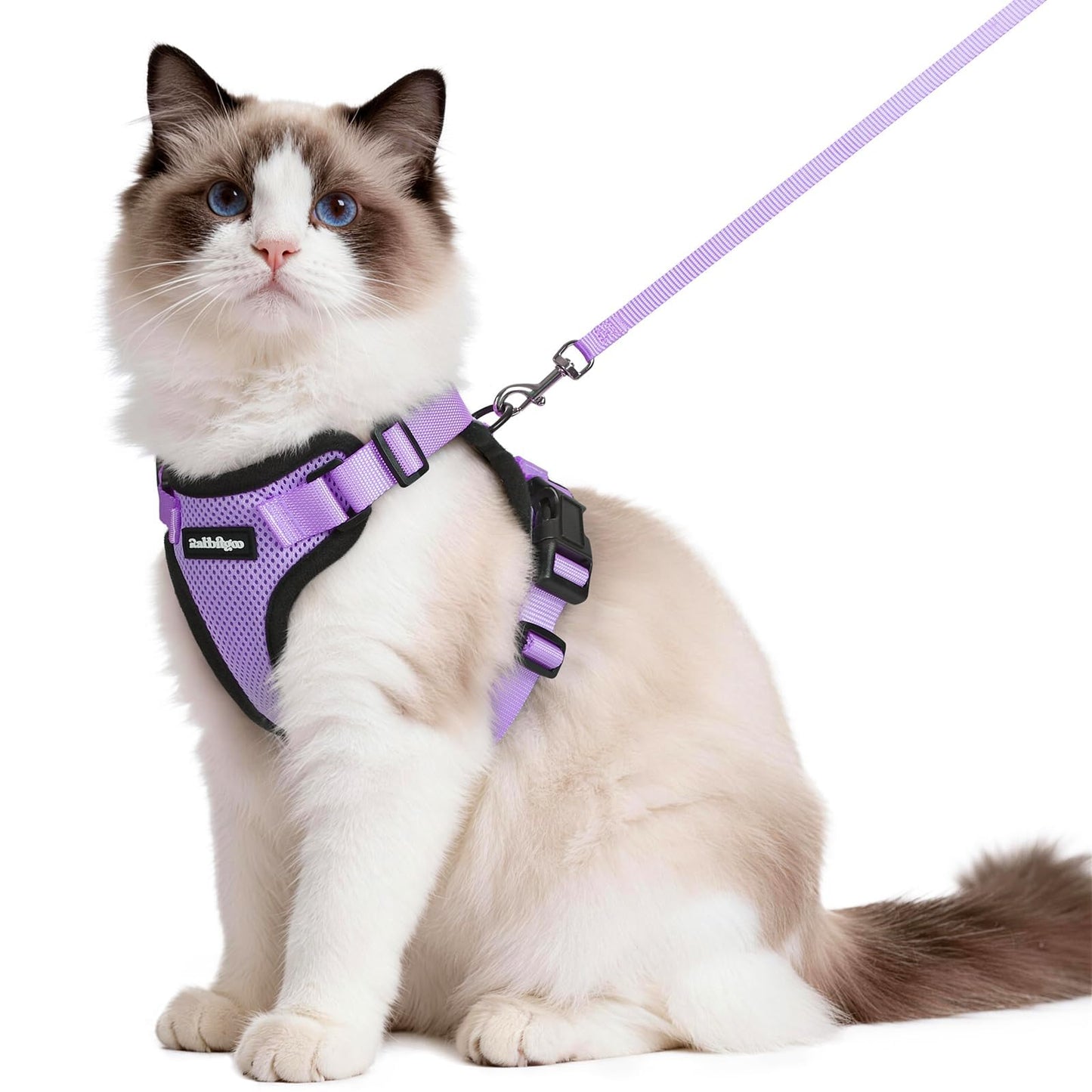 Adjustable Cat Harness & Lead Set for Walking
