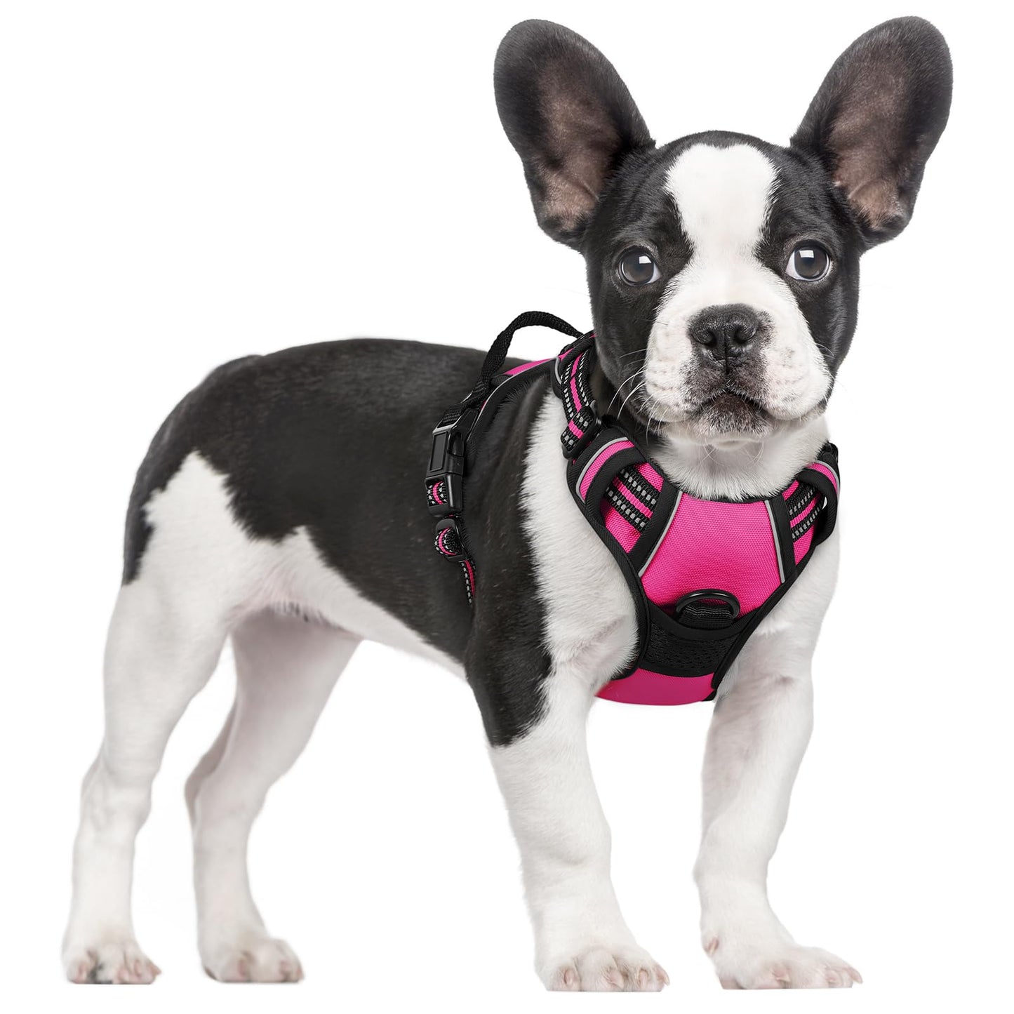 No-Pull Reflective Dog Harness with Control Handle