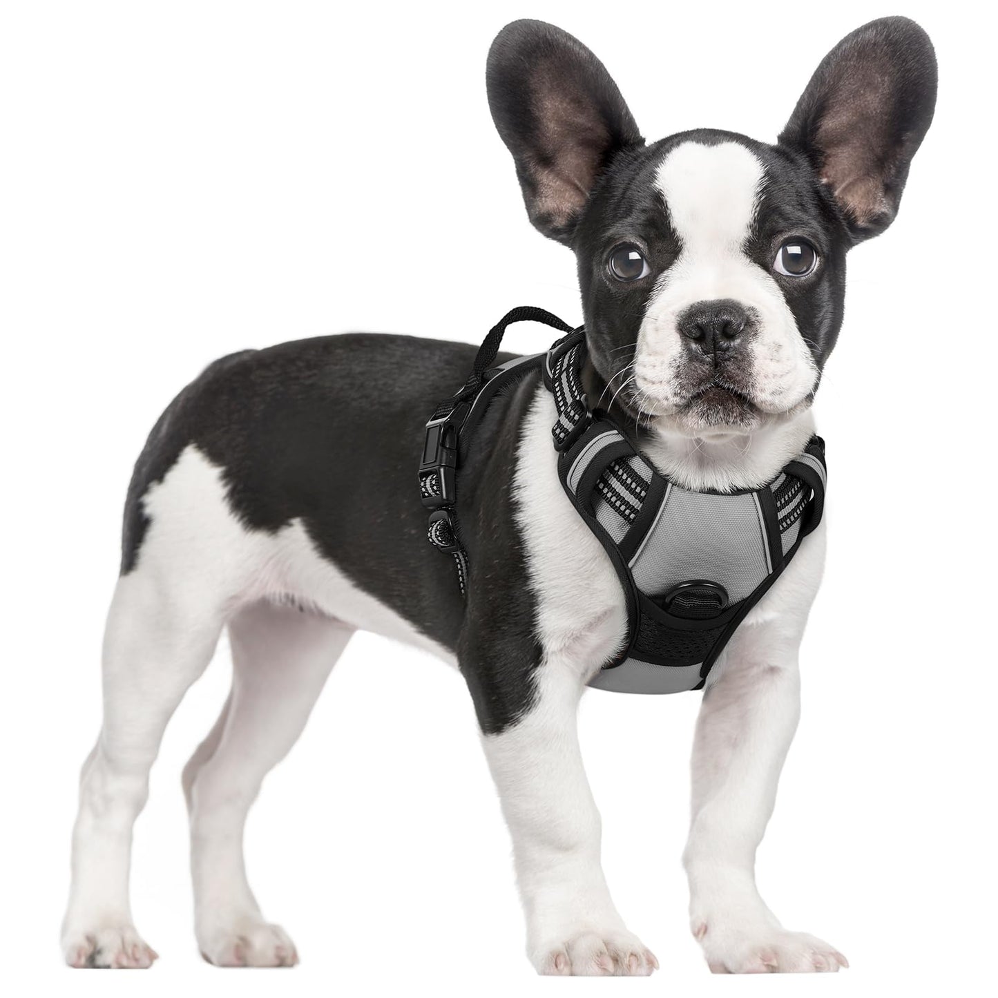 No-Pull Reflective Dog Harness with Control Handle