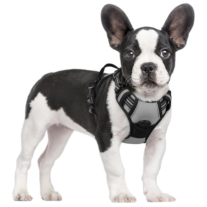 No-Pull Reflective Dog Harness with Control Handle