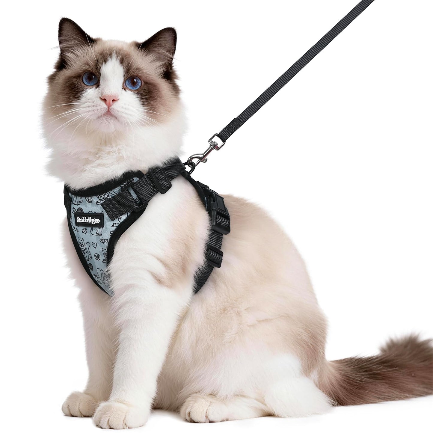 Adjustable Cat Harness & Lead Set for Walking