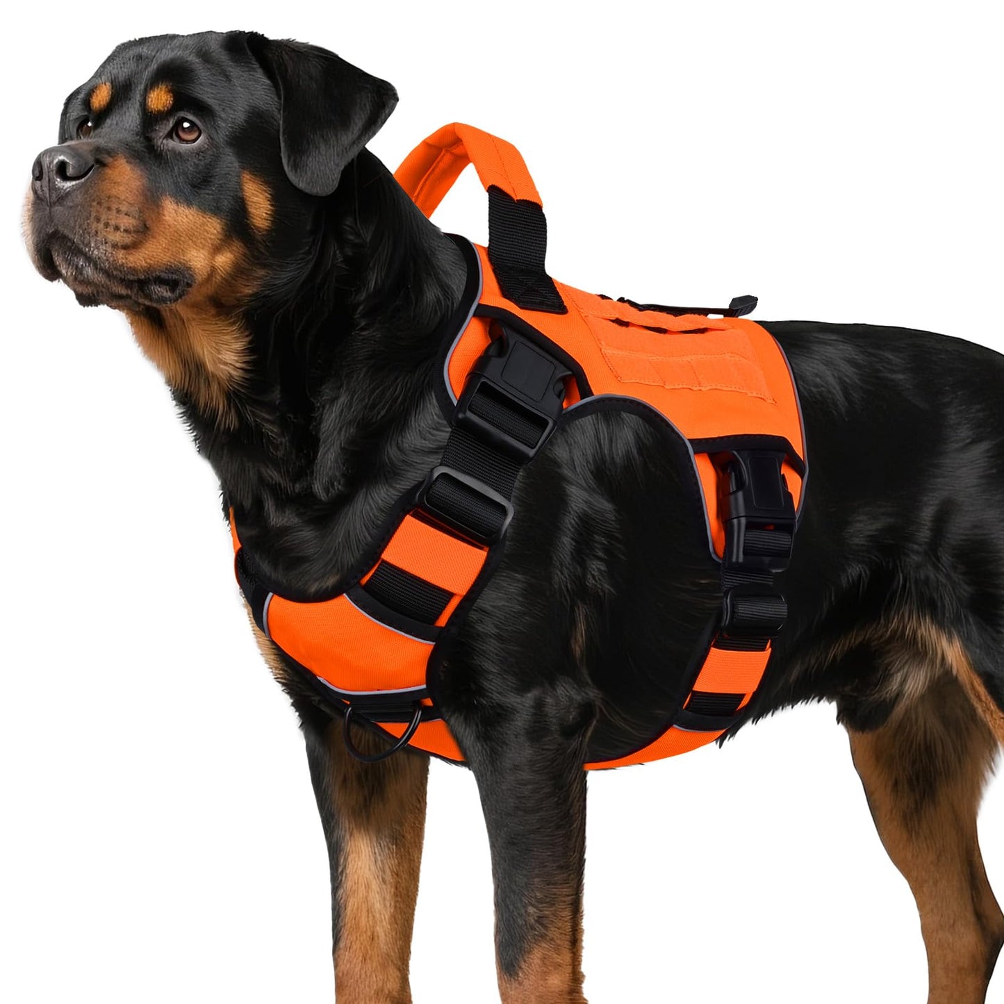 Heavy Duty Tactical Dog Harness with Handle