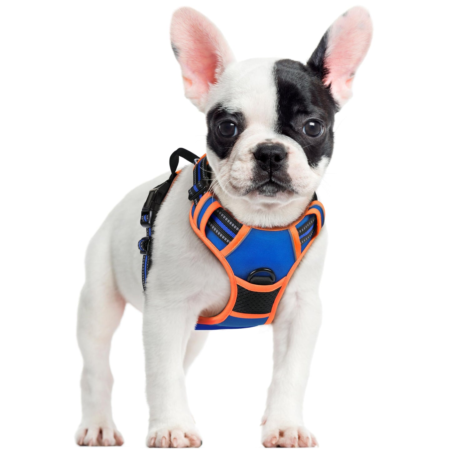 No-Pull Reflective Dog Harness with Control Handle