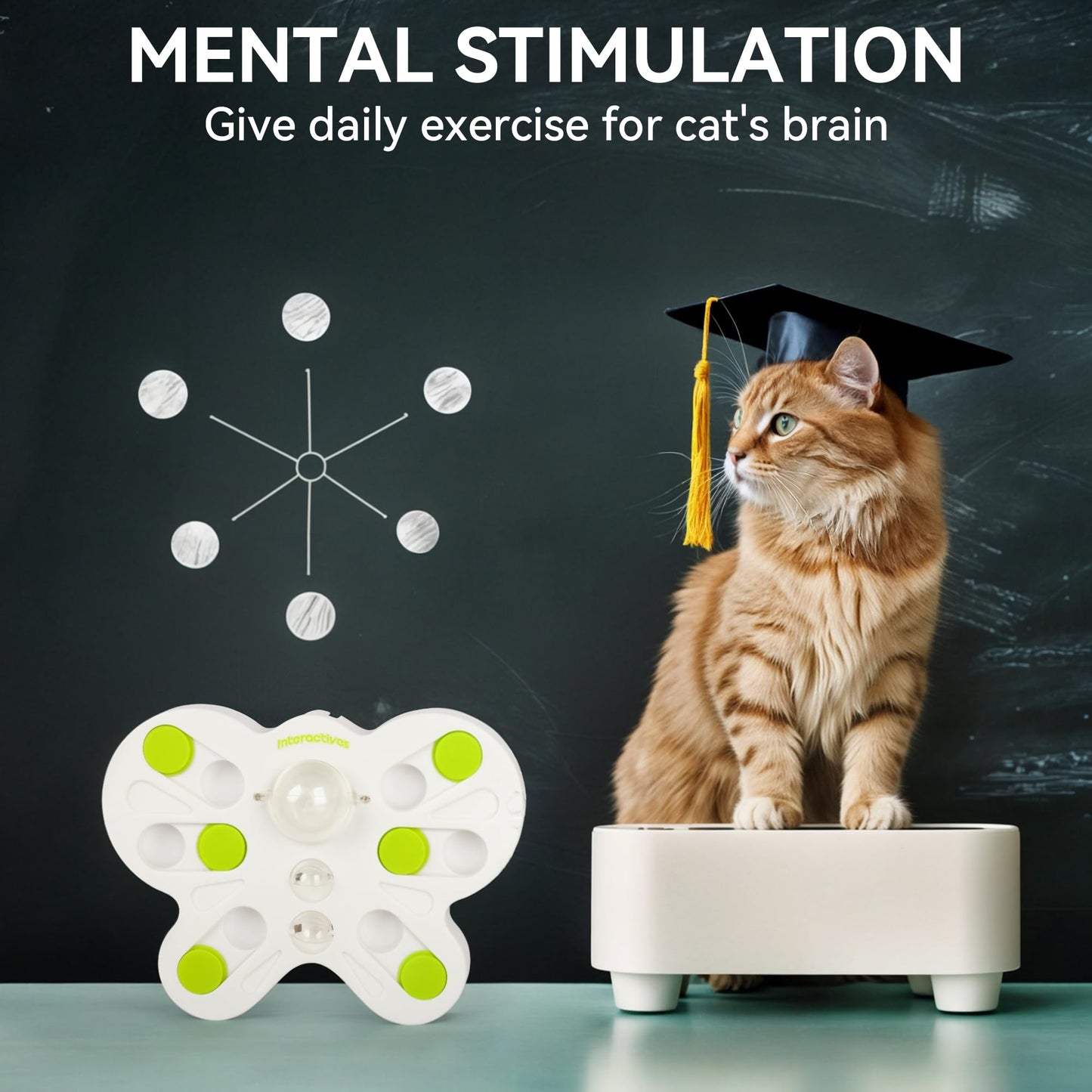 Interactive Cat Puzzle Feeder for Brain Stimulation